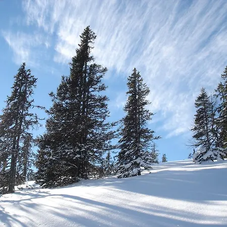 Germann Appartamento *