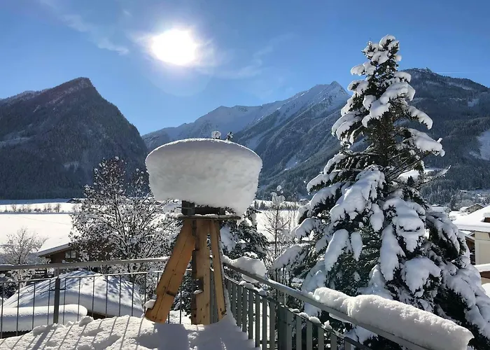 盖尔曼公寓 公寓 *